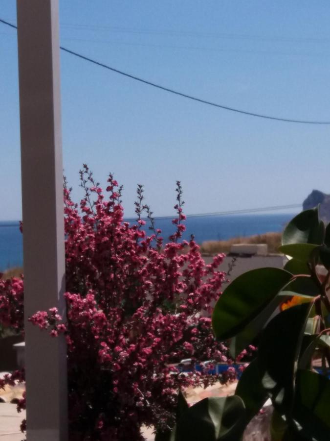 Casa Fleur Casco Antiguo Altea Con Piscina Privada Y Jardin Daire Dış mekan fotoğraf